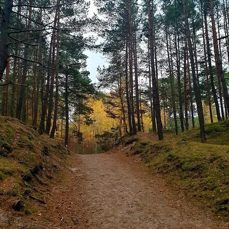 Baltic Line - Nova *