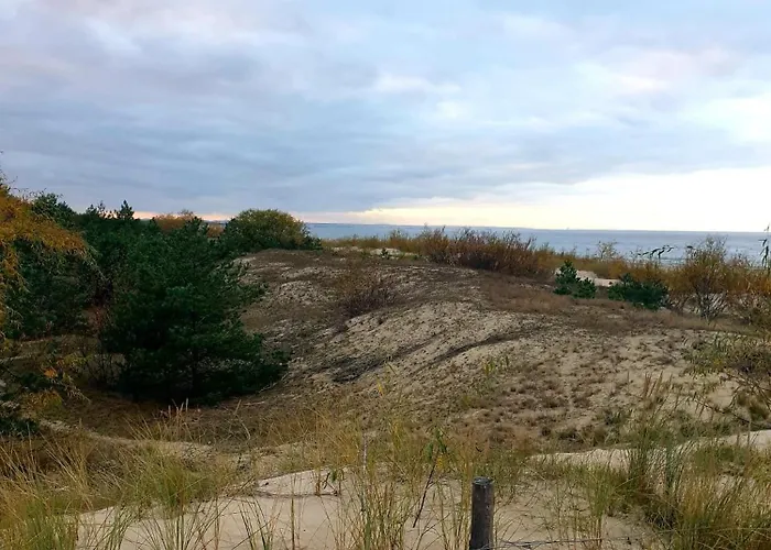 Baltic Line - Nova * גדנסק