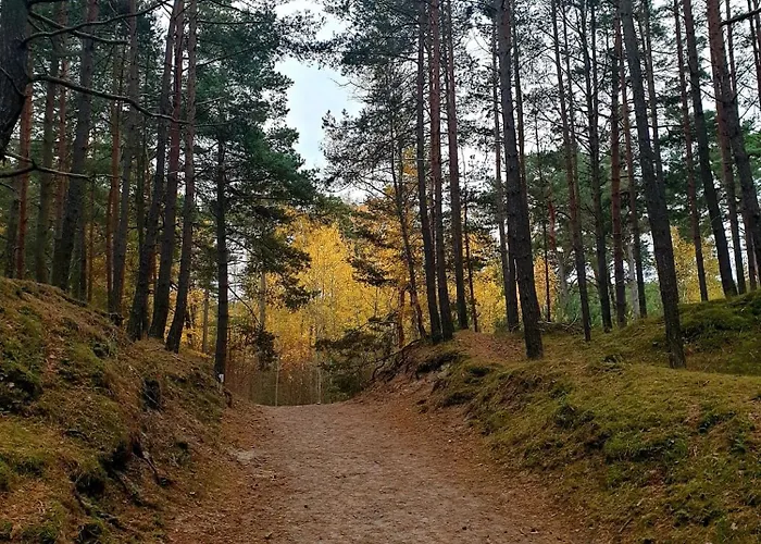 Baltic Line - Nova *