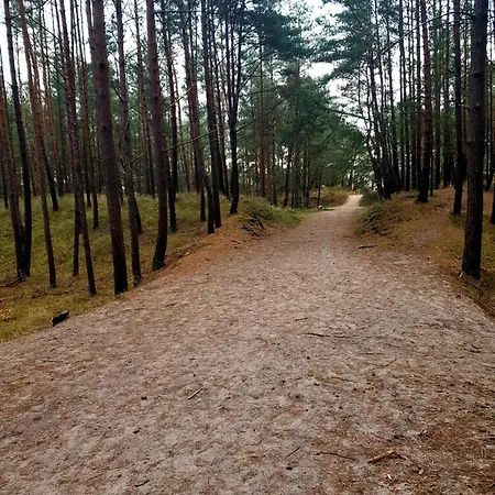 Baltic Line - Nova * 그단스크