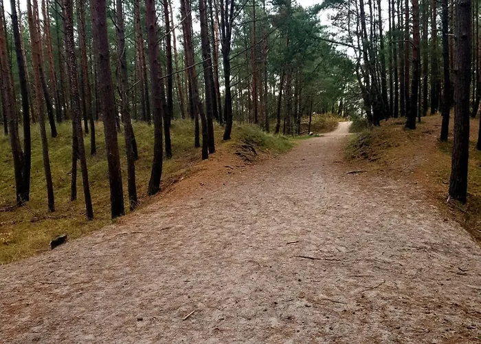 Baltic Line - Nova * Gdańsk
