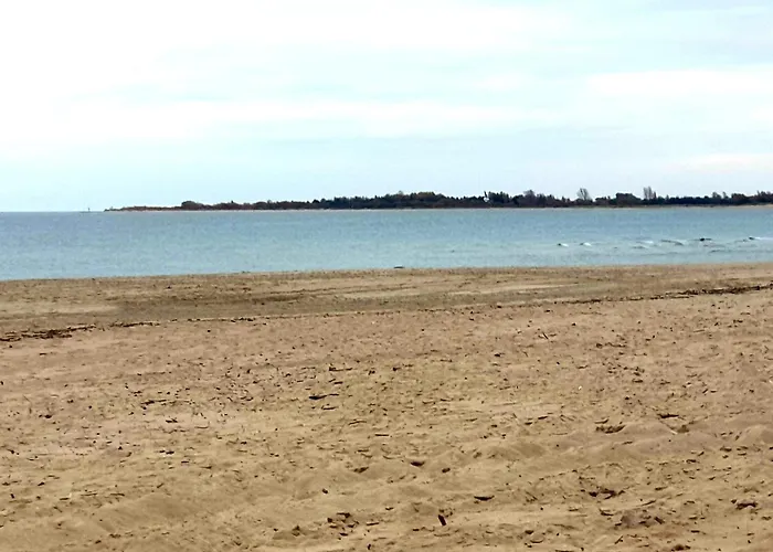 Baltic Line - Nova Gdańsk